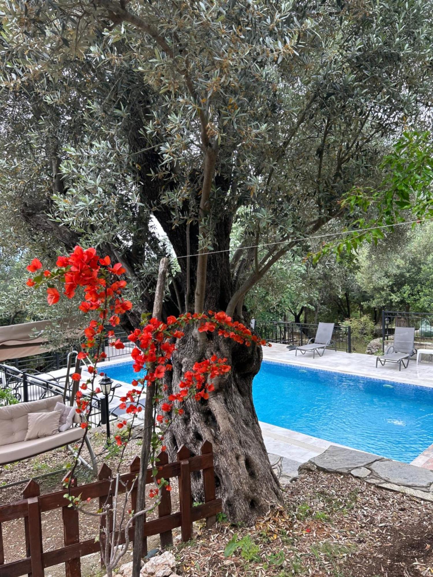 Antalya Bodrum Kayasi Dag Oteli Hasdumen 外观 照片
